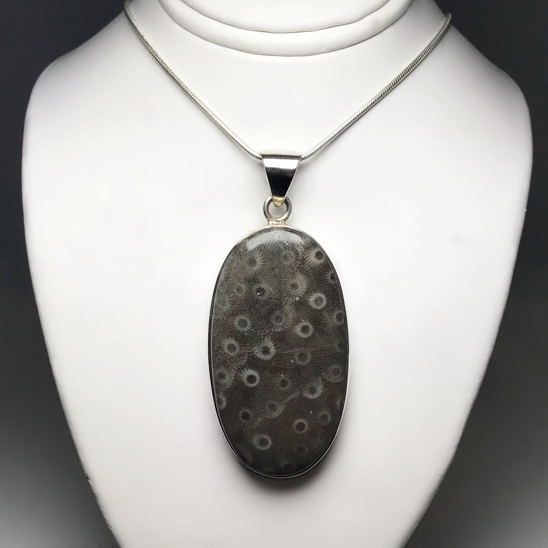 Fossilized Coral Pendant