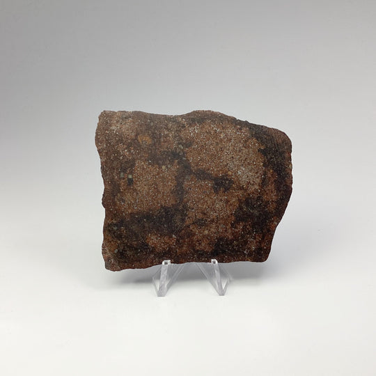 NWA Chondrite Meteorite Slab