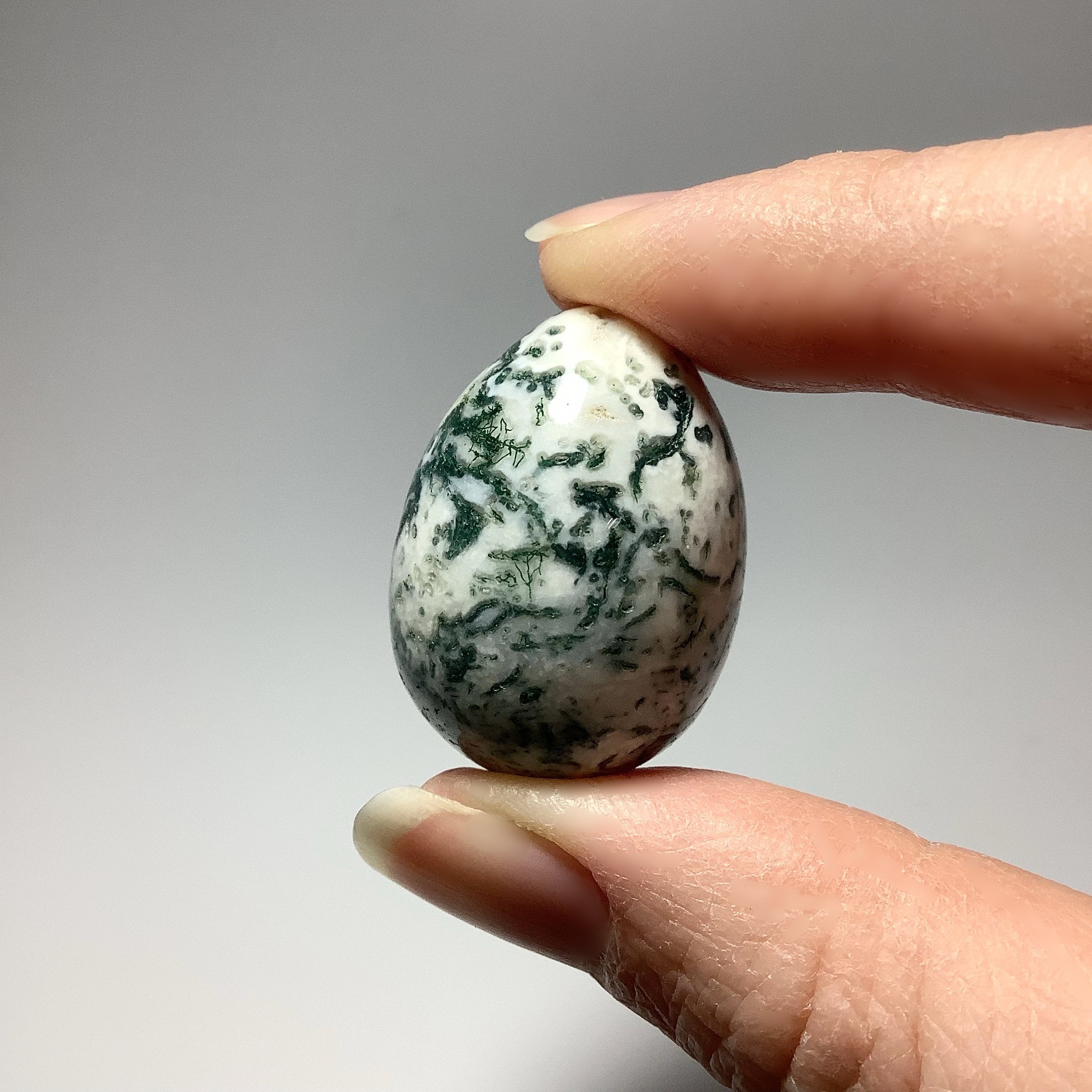 Tree Agate Mini Egg