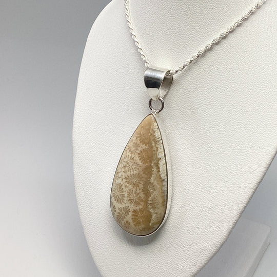 Fossilized Coral Pendant