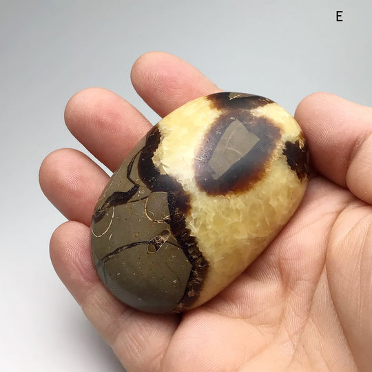 Septarian Tumble at $35 Each