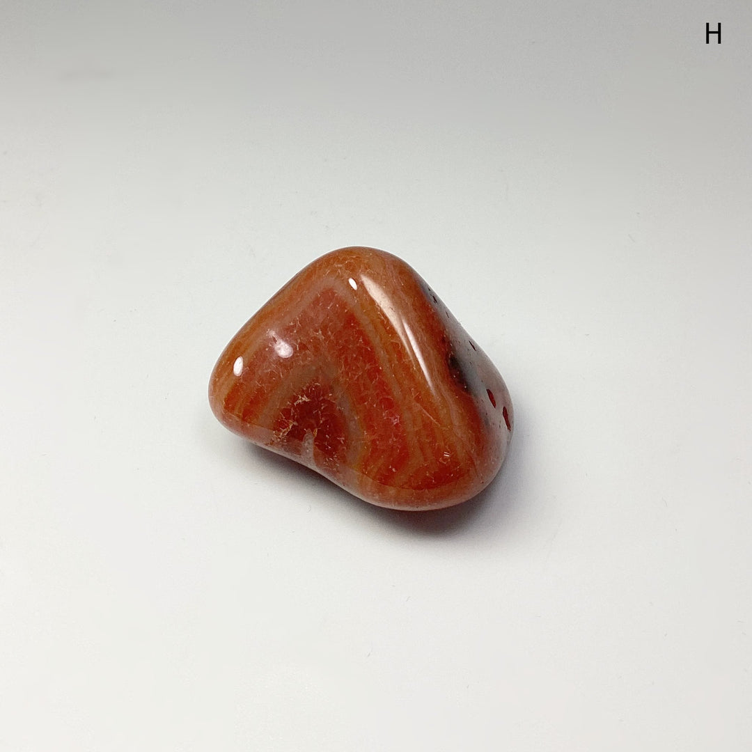 Carnelian Agate Tumble at $15 Each