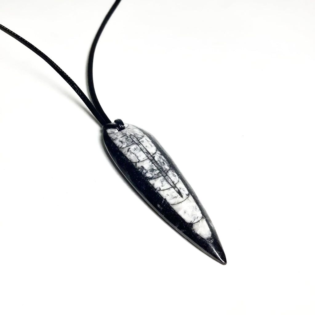 Orthoceras Necklace