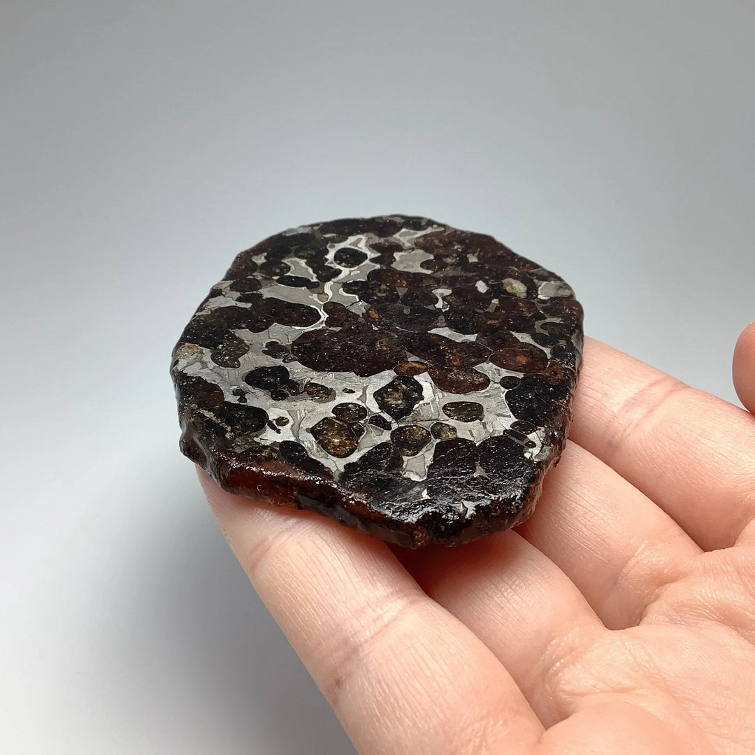 Sericho Meteorite Slice