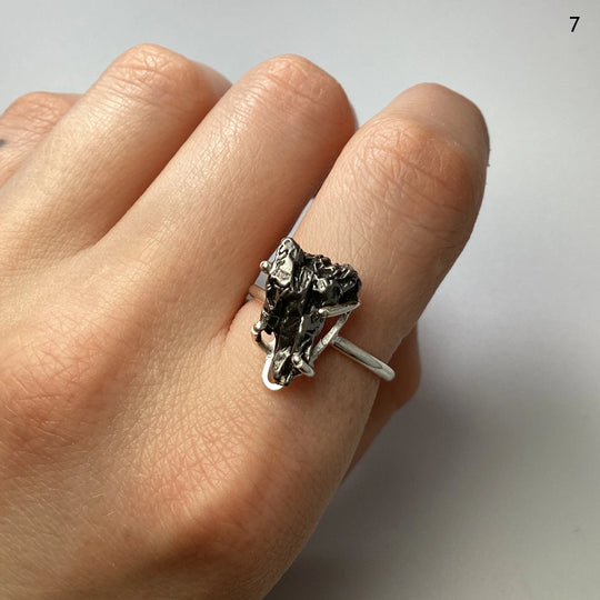 Campo Del Cielo Meteorite Ring at $79 Each