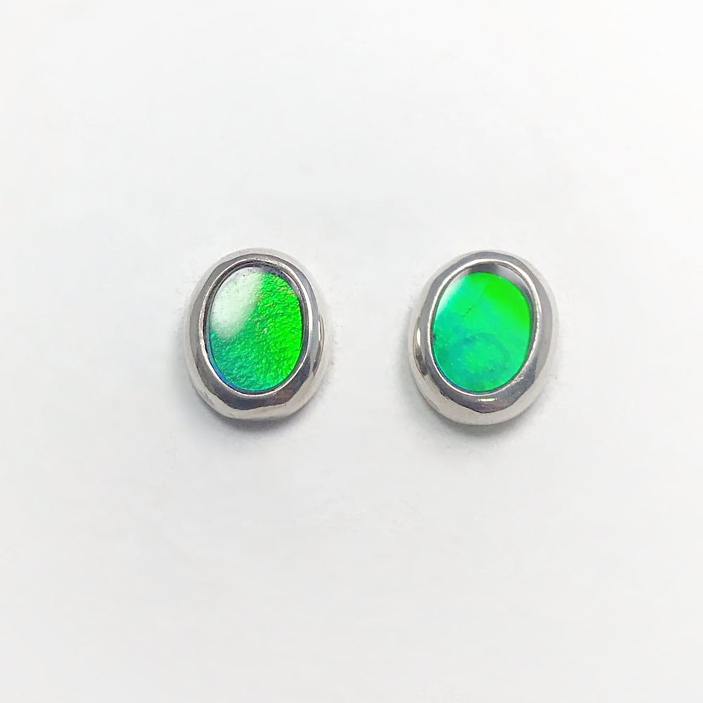 Alberta Ammolite Stud Earrings