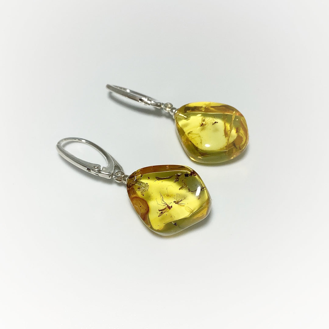 Amber with Preserved Insect Inclusion Dangle Earrings