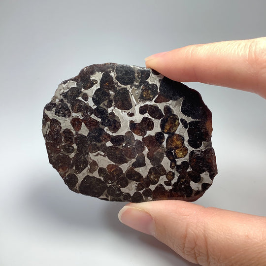 Sericho Meteorite Slice