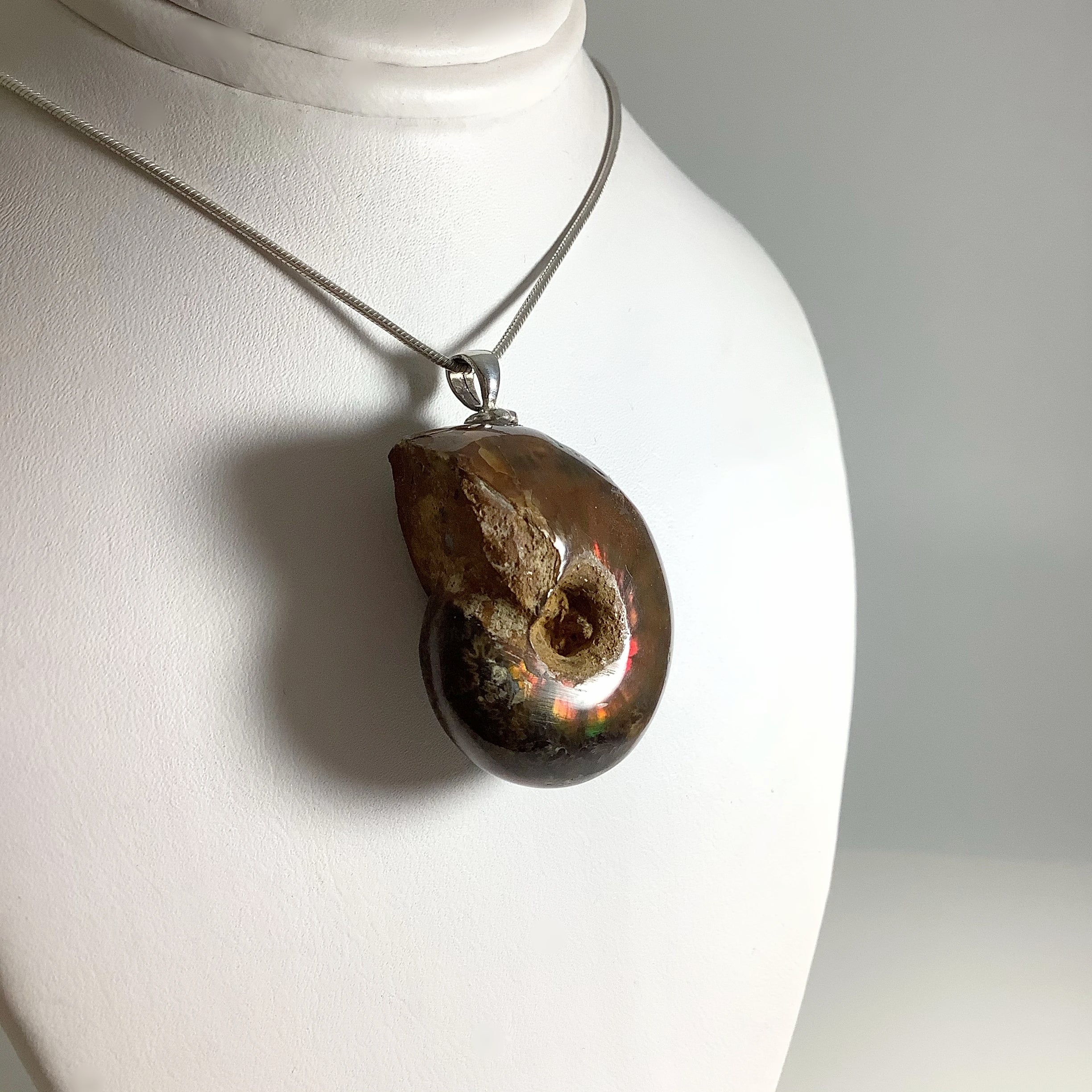 Colourful Ammonite Pendant