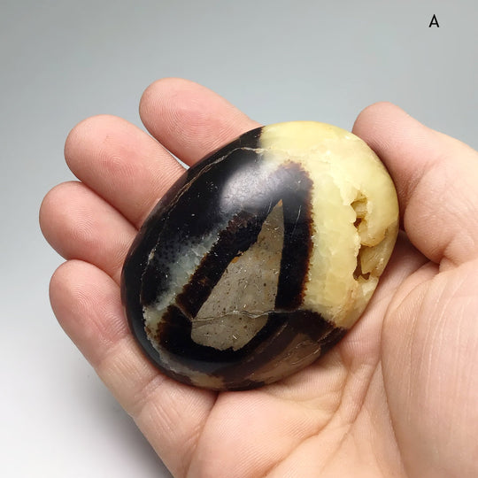 Septarian Tumble at $35 Each