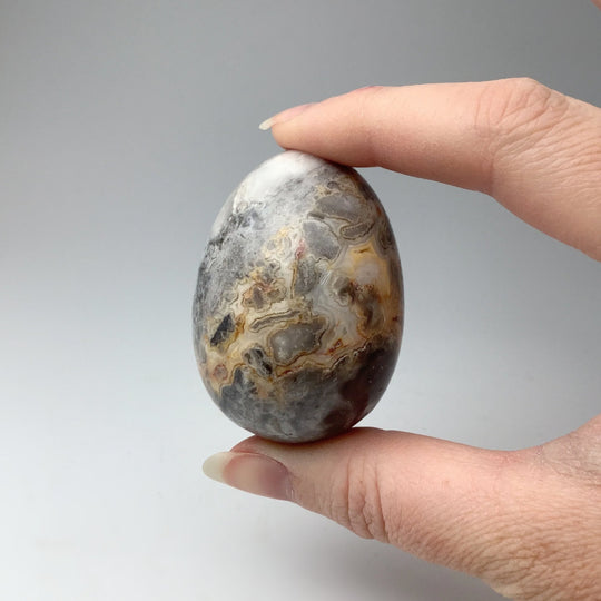 Crazy Lace Agate Egg