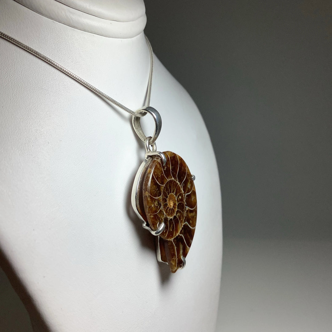 Chambered Ammonite Pendant