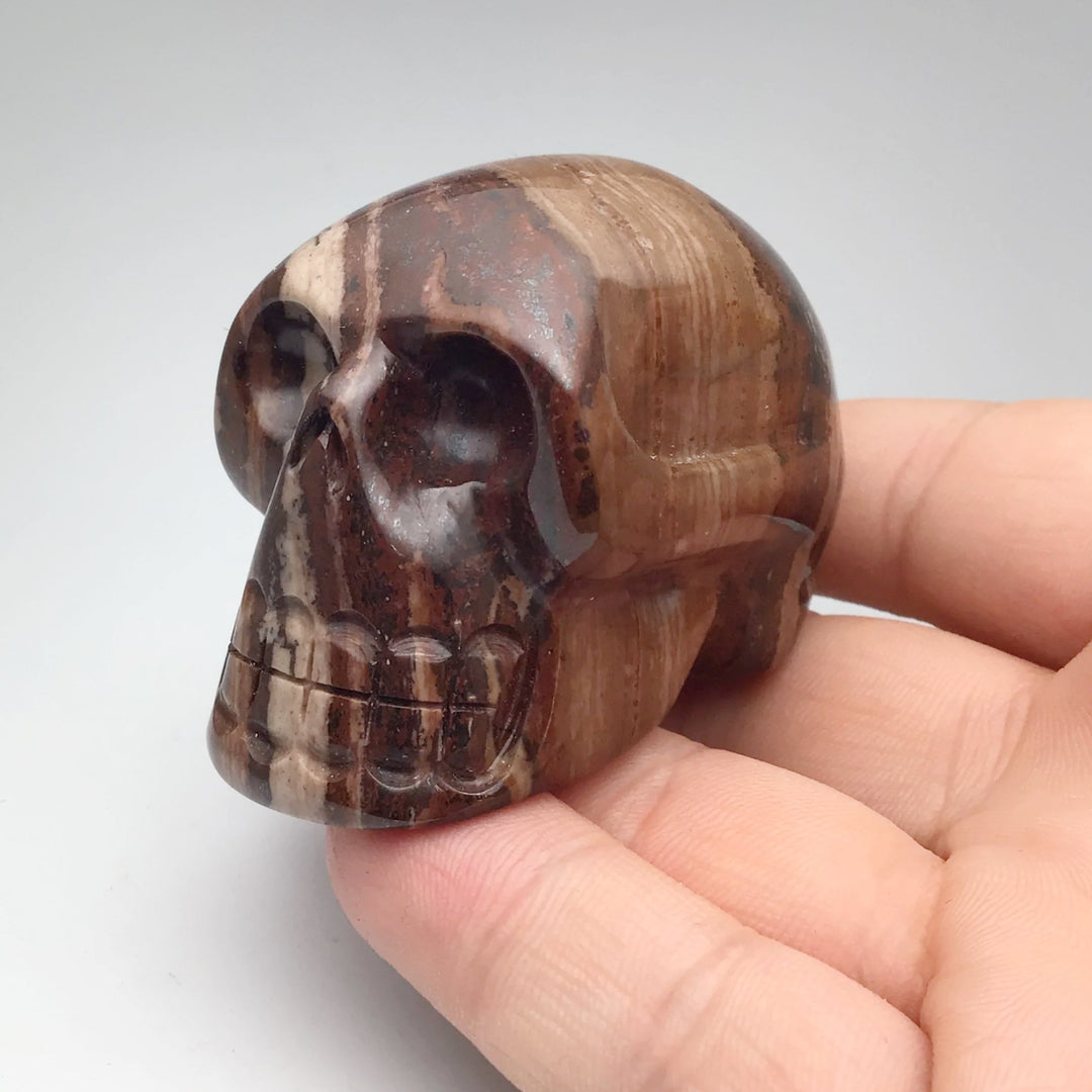 Carved Chocolate Jasper Skull