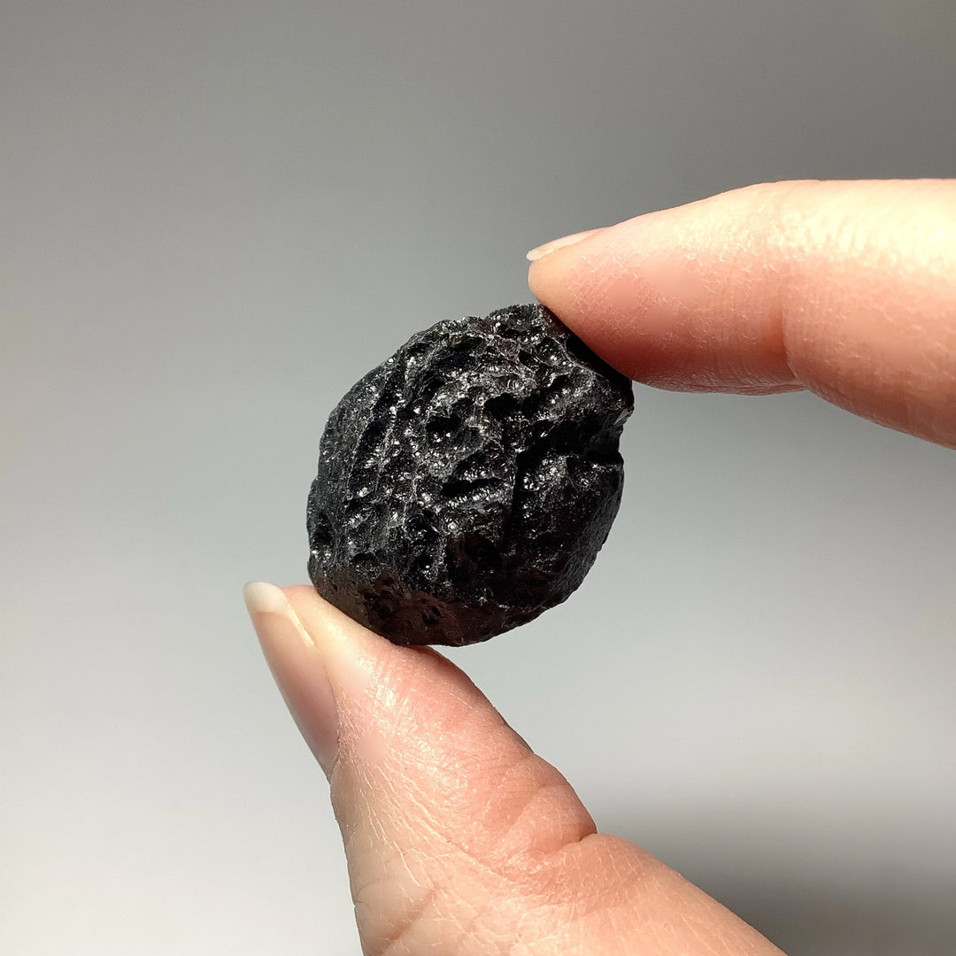 Black Tektite Specimen at $25 Each