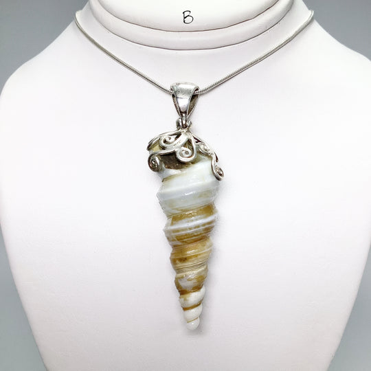 Fossilized Turritella Pendant