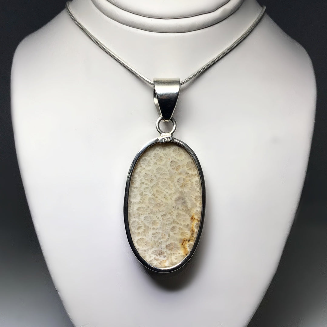 Fossilized Coral Pendant