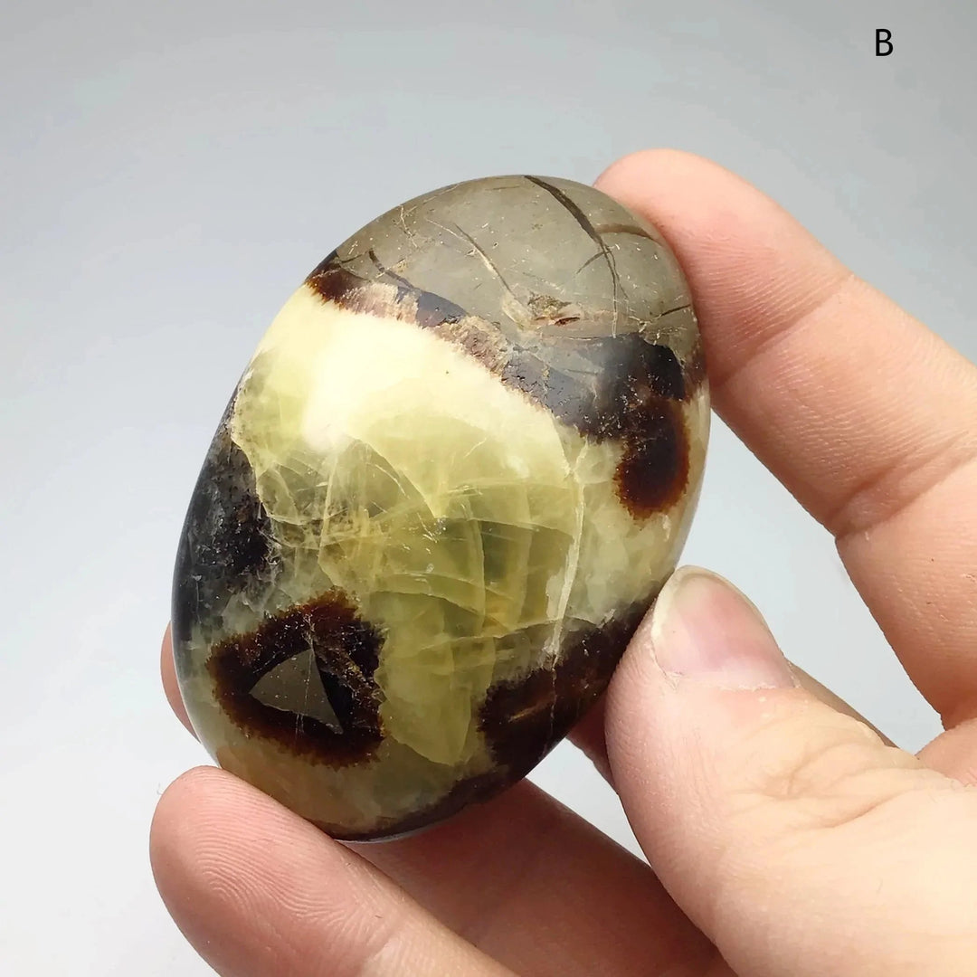 Septarian Tumble at $29 Each