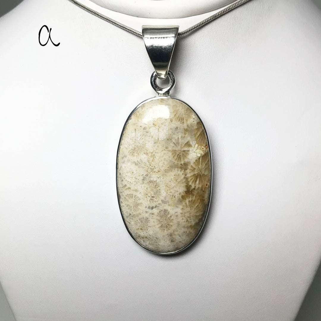 Fossilized Coral Pendant