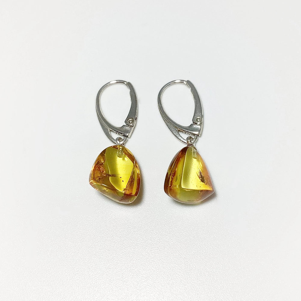 Amber with Preserved Insect Inclusion Dangle Earrings