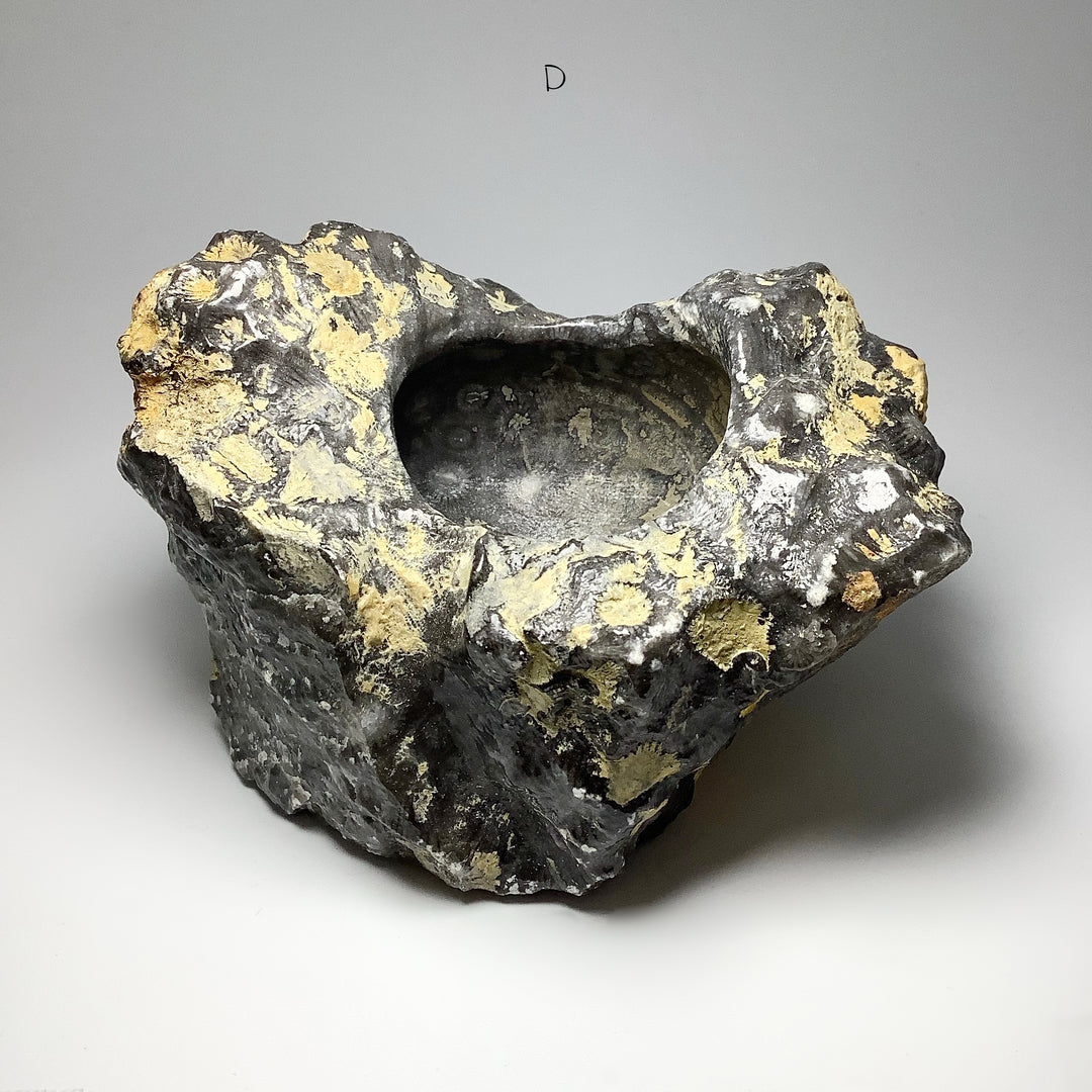 Fossilized Coral Bowl at $79 Each