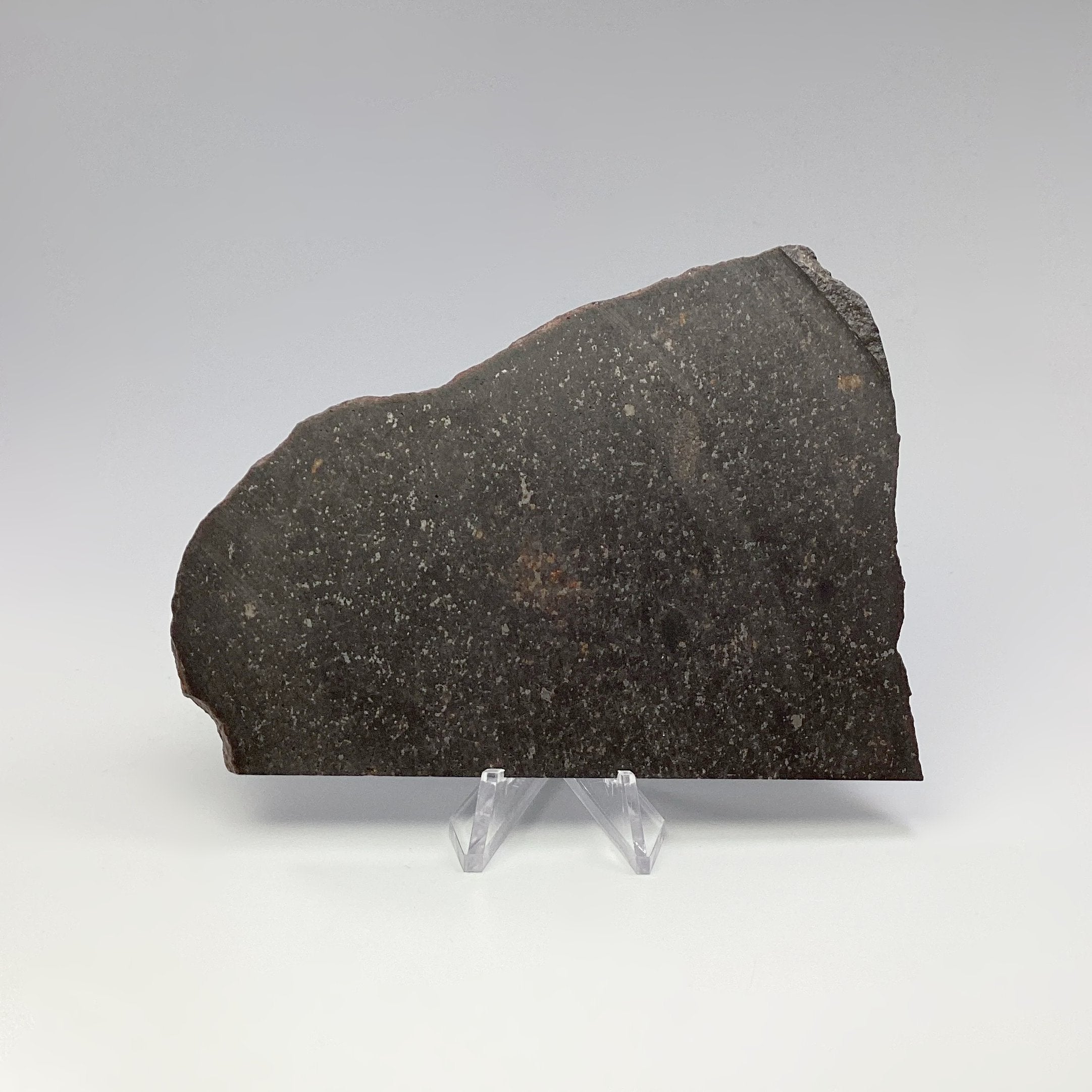 NWA Chondrite Meteorite Slab