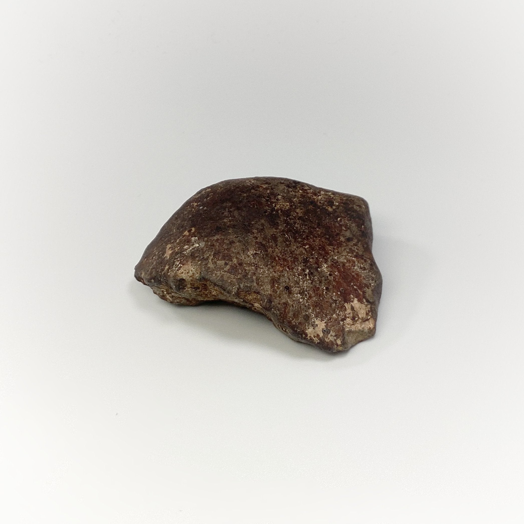 NWA Chondrite Meteorite Specimen