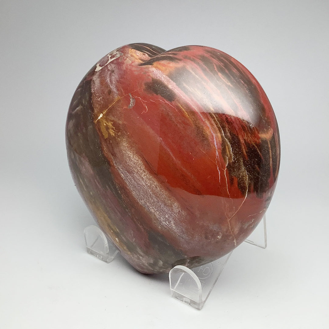 Petrified Wood Large Heart