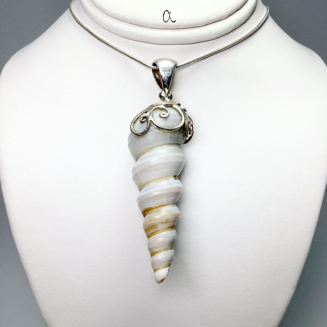 Fossilized Turritella Pendant