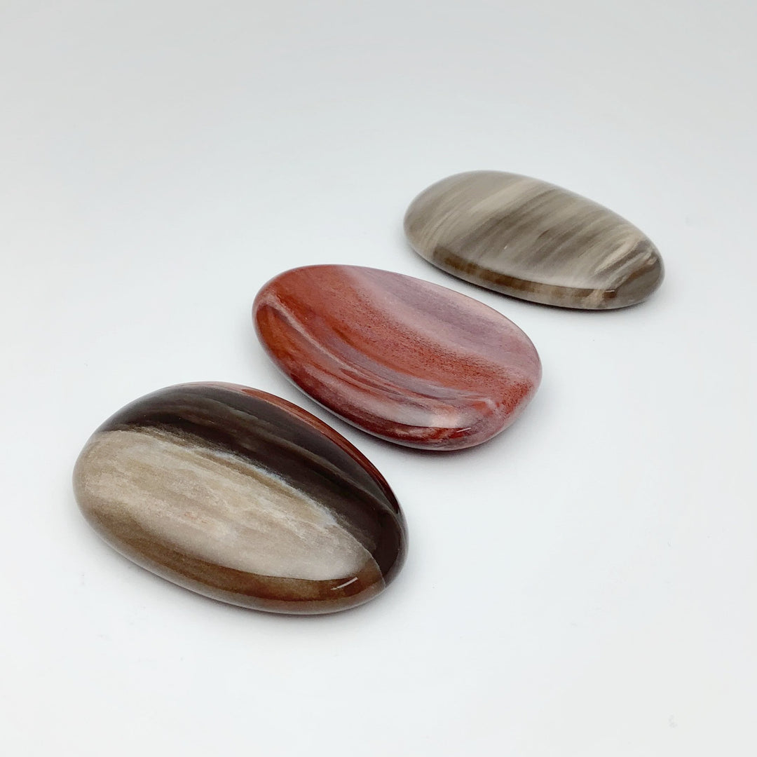 Worry Stone - Petrified Wood