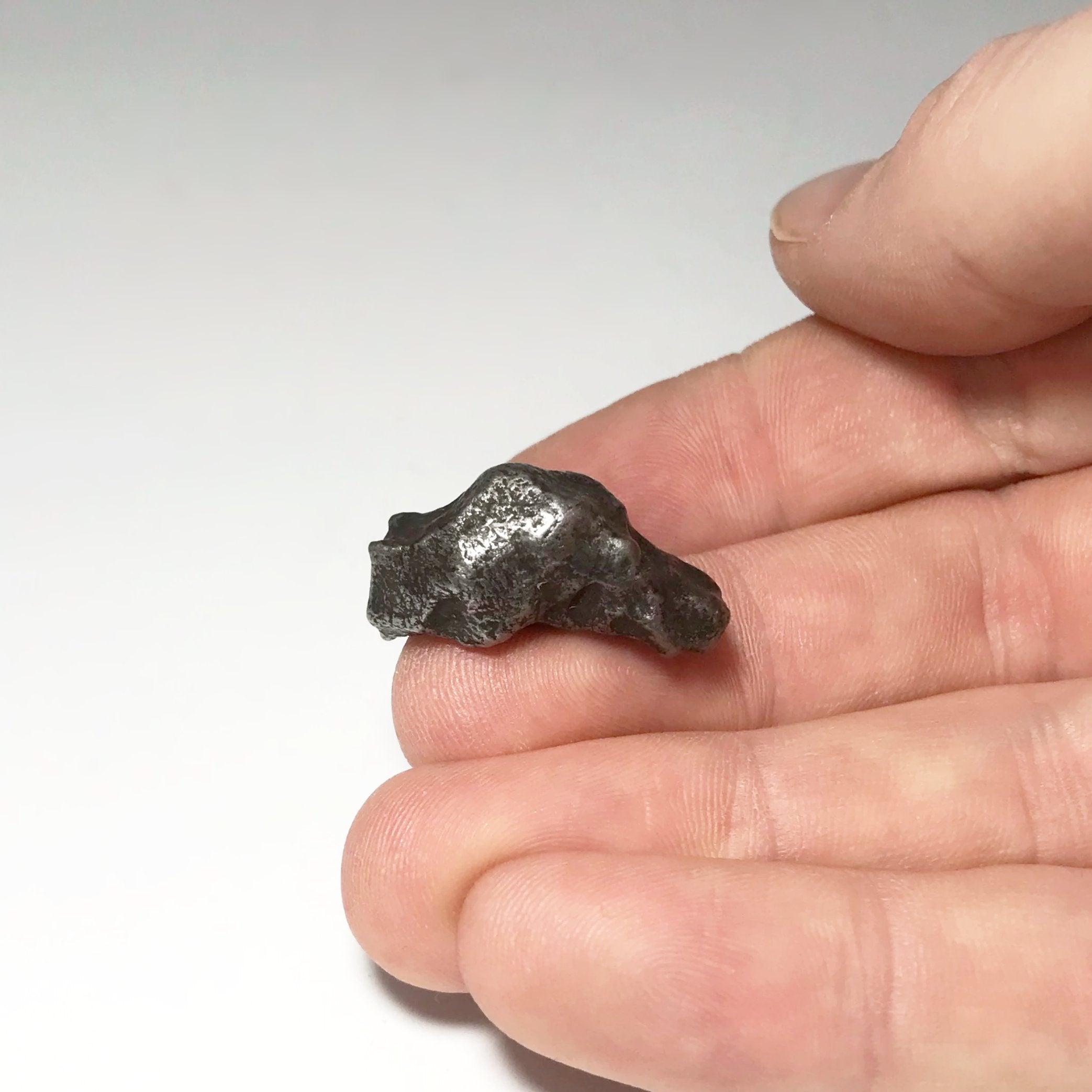 Sikhote-Alin Meteorite