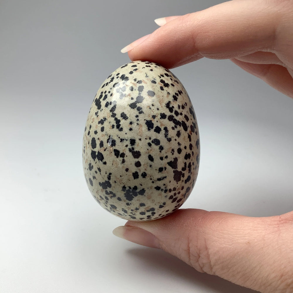 Dalmatian Jasper Egg