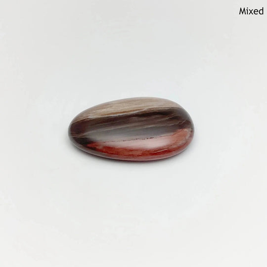 Worry Stone - Petrified Wood