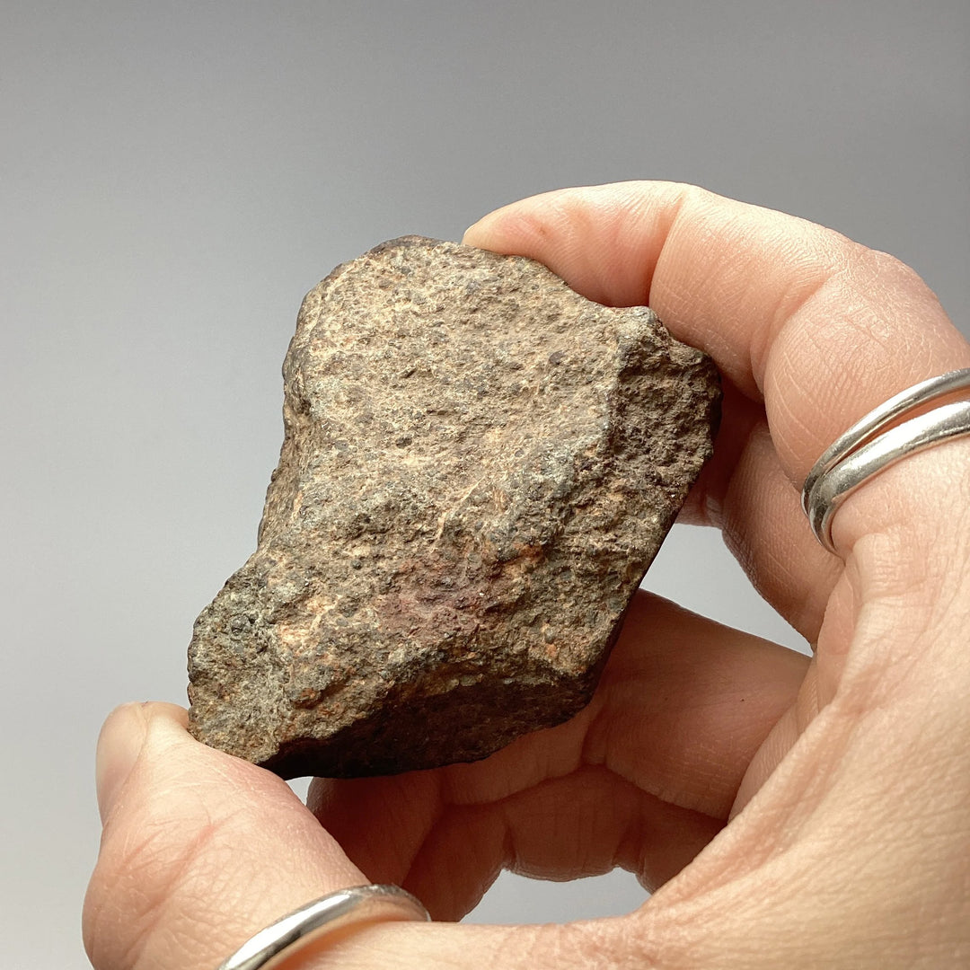 NWA Chondrite Meteorite Specimen