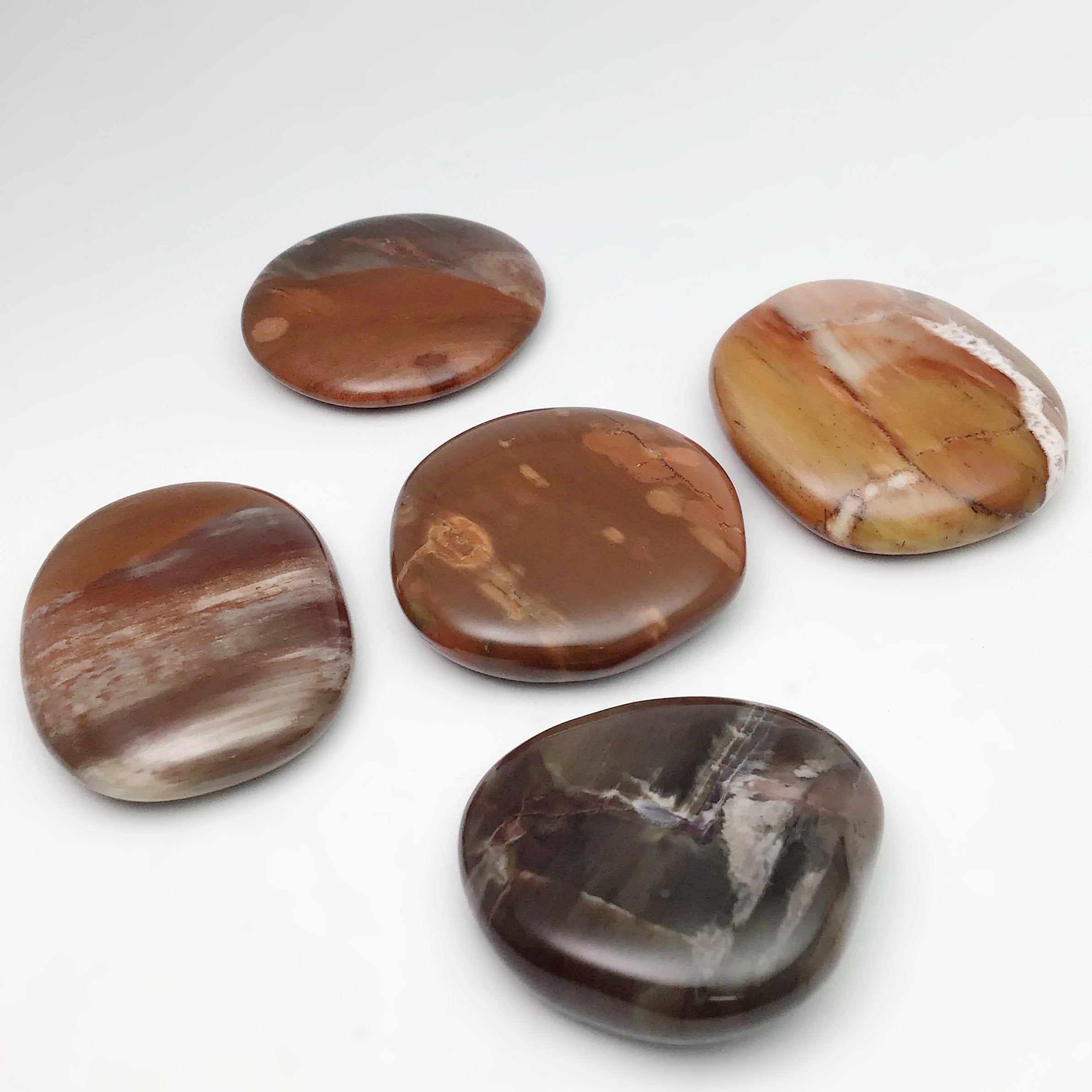 Petrified Wood Touch Stone at $29 Each