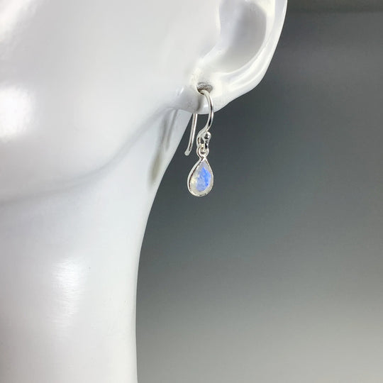 Rainbow Moonstone Dangle Earrings