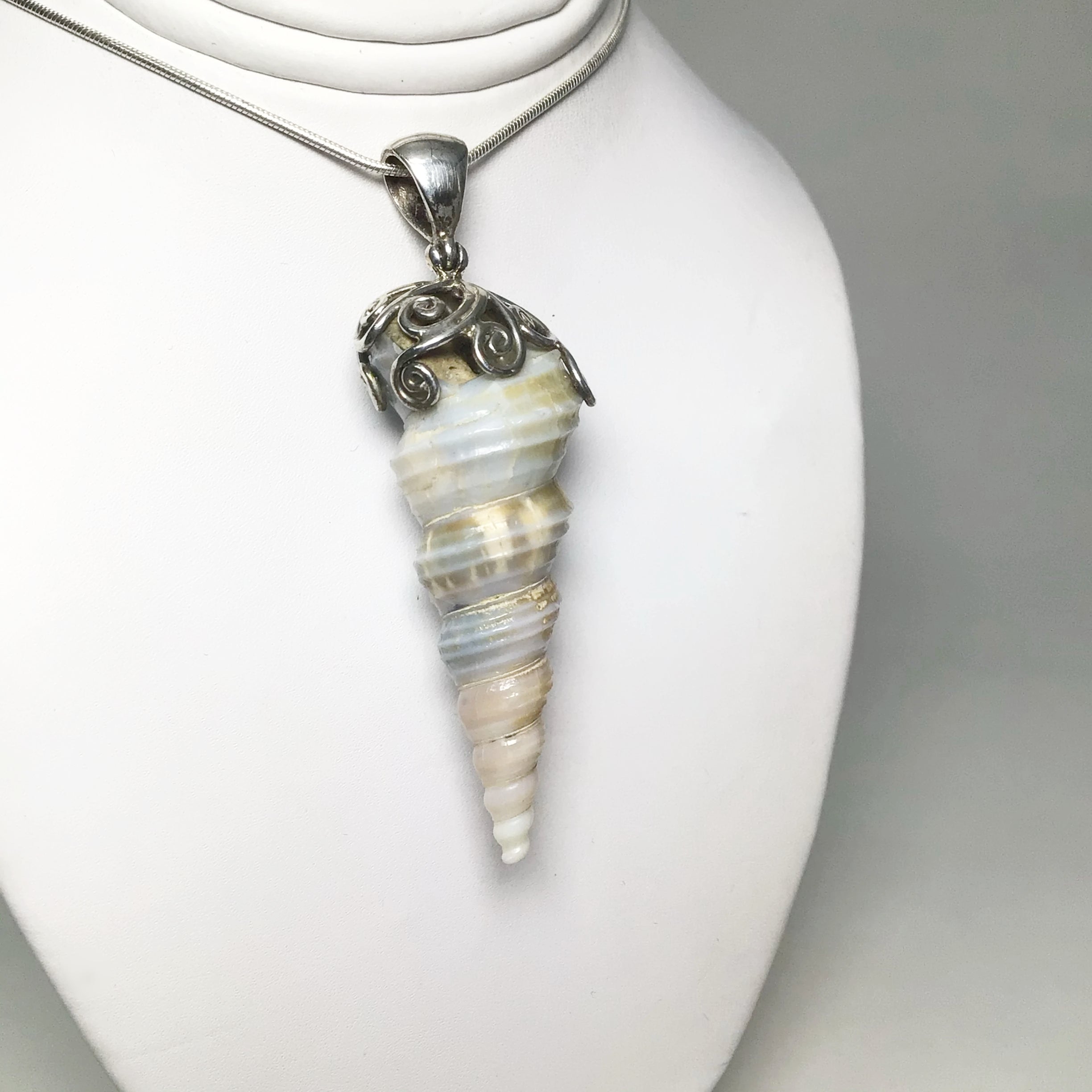 Fossilized Turritella Pendant