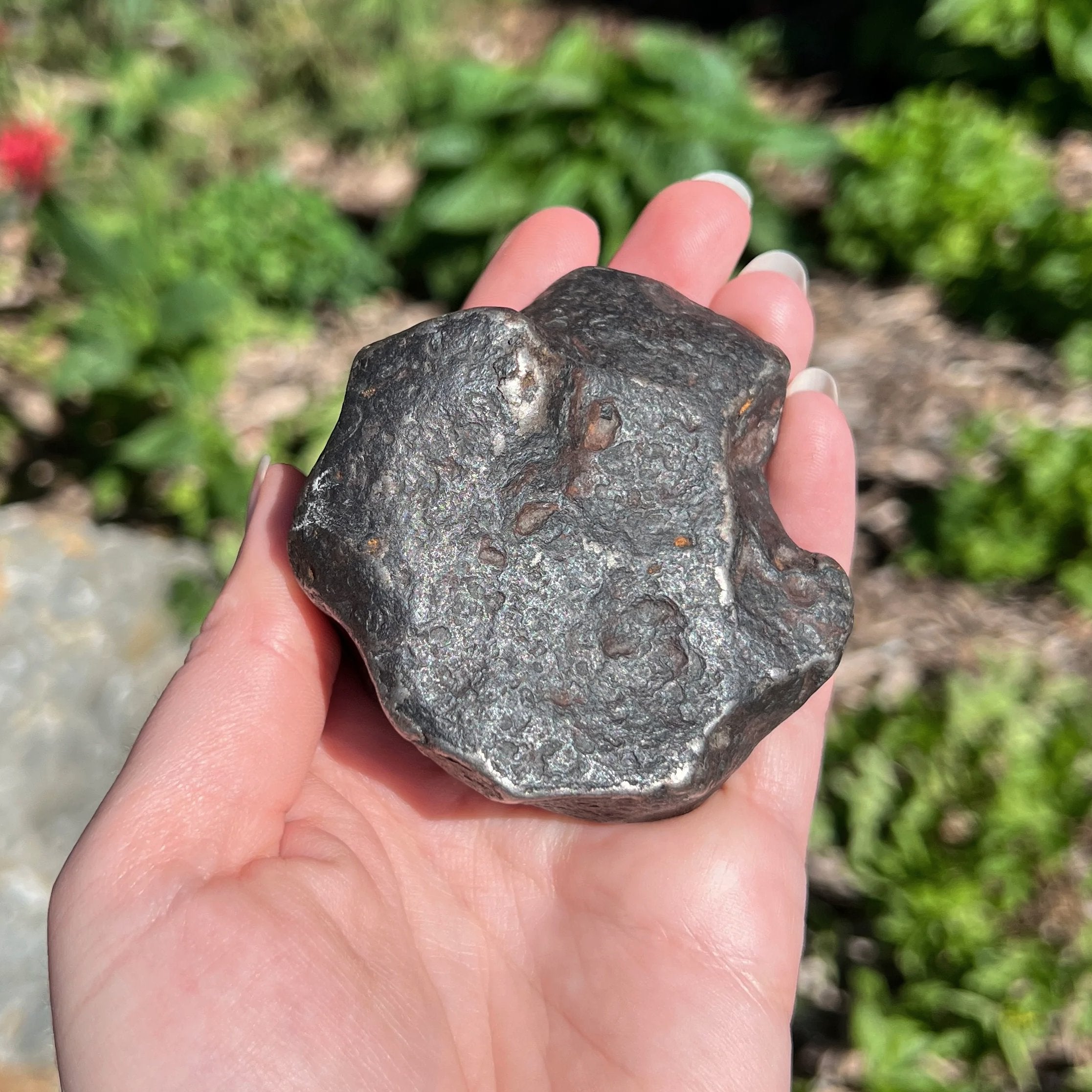 Campo Del Cielo Meteorite Large Specimen