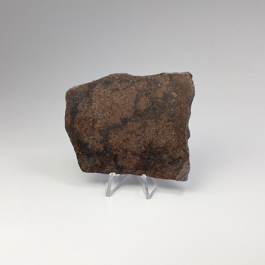 NWA Chondrite Meteorite Slab