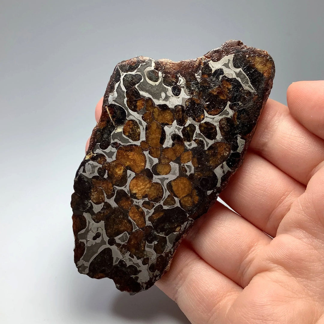 Sericho Meteorite Slice