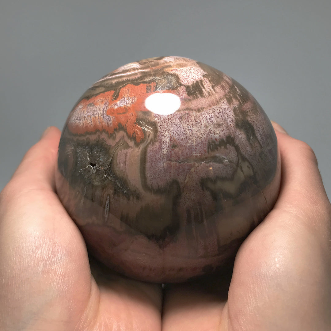 Araucaria Petrified Wood Sphere