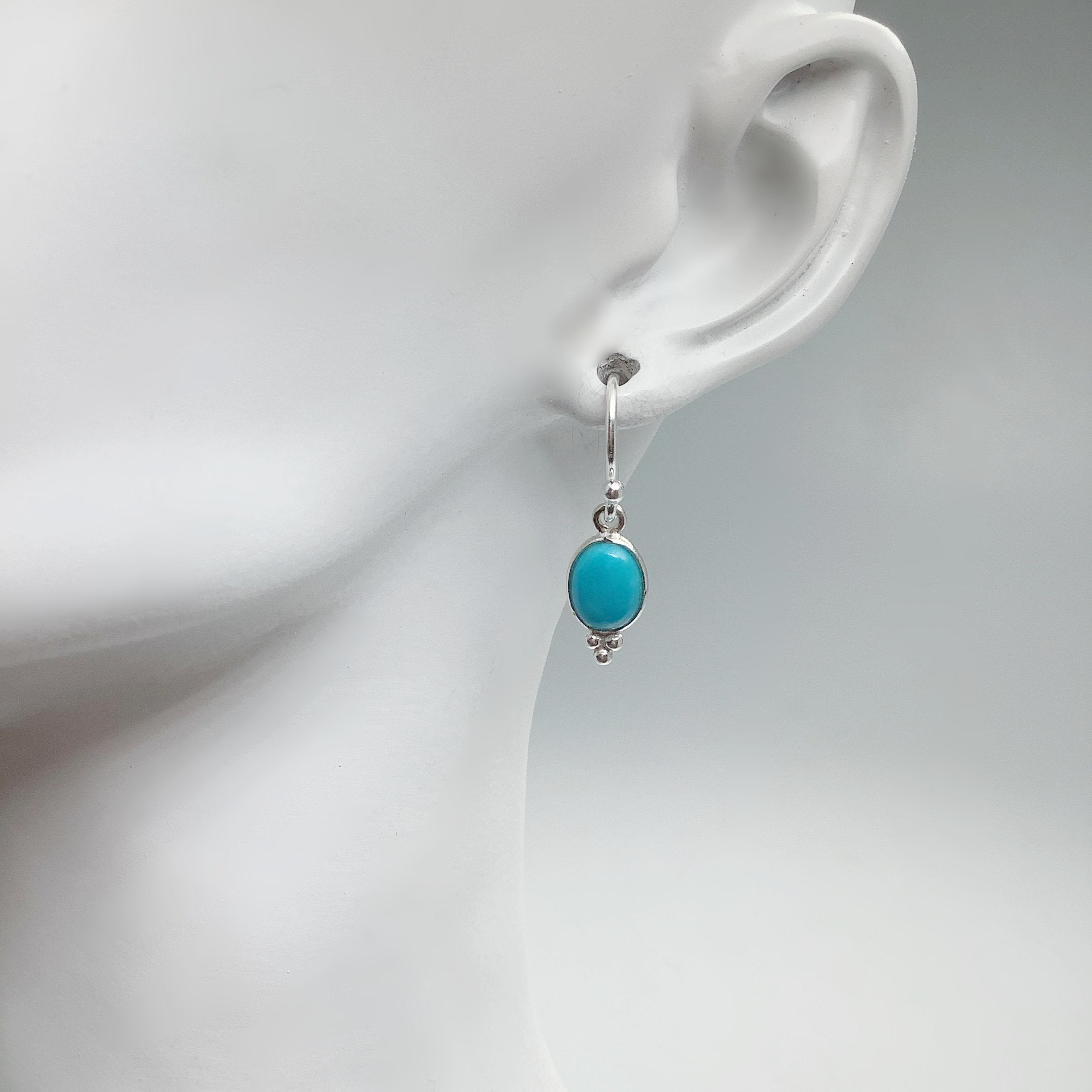 Turquoise Dangle Earrings