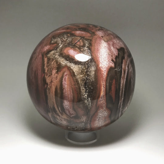 Araucaria Petrified Wood Sphere