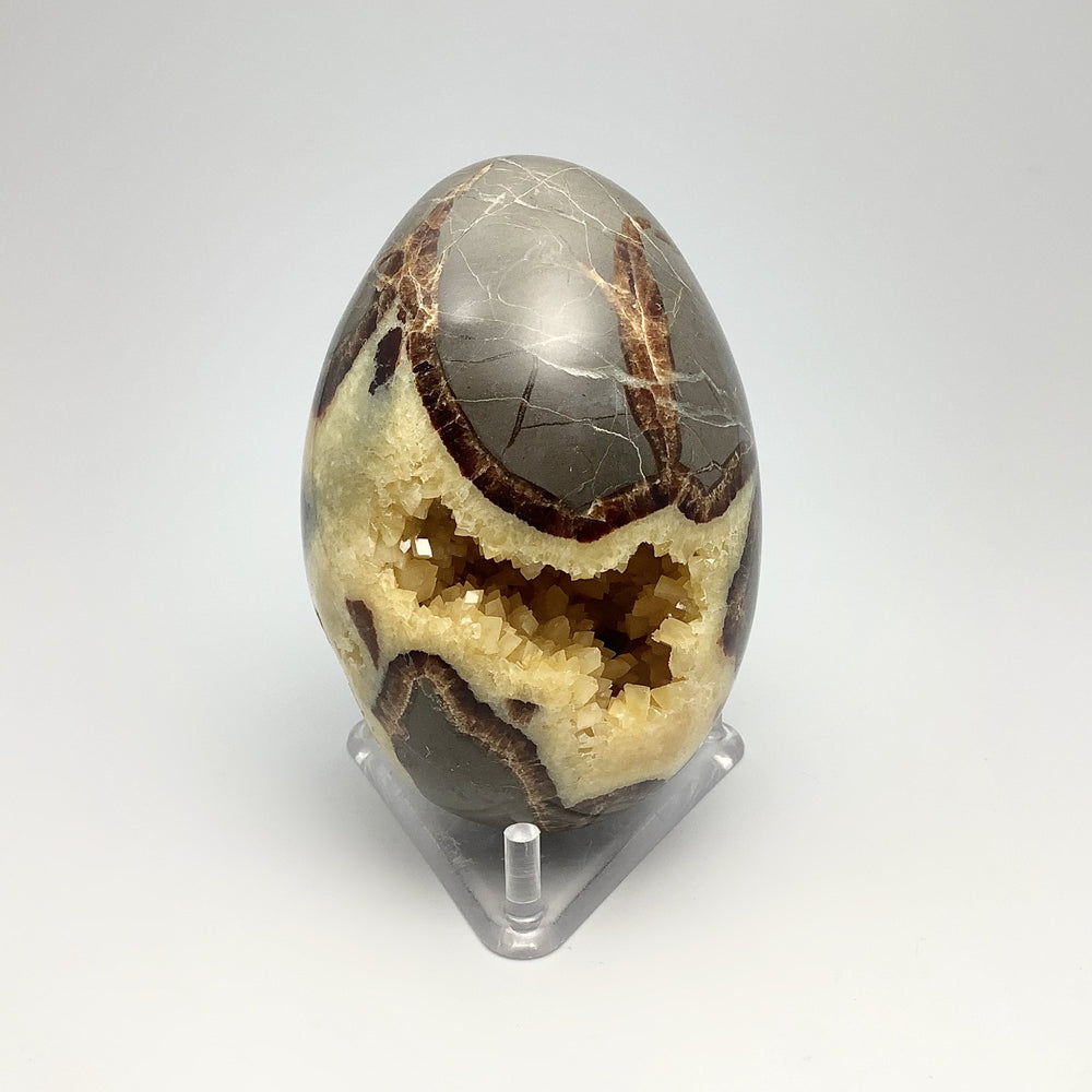 Septarian Egg Carving