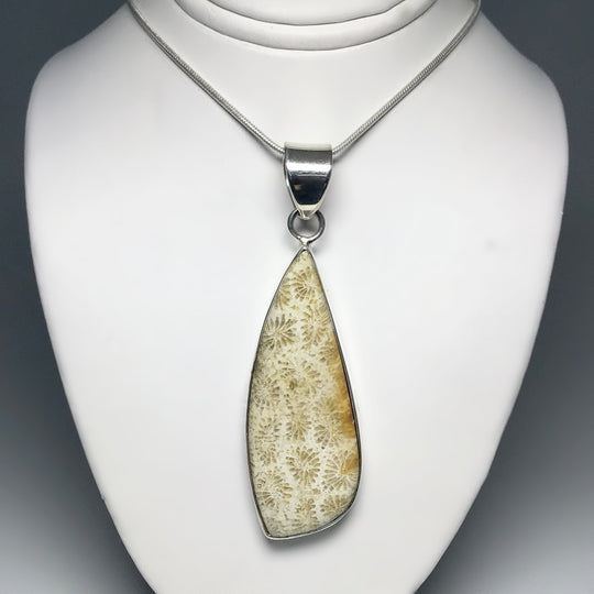 Fossilized Coral Pendant