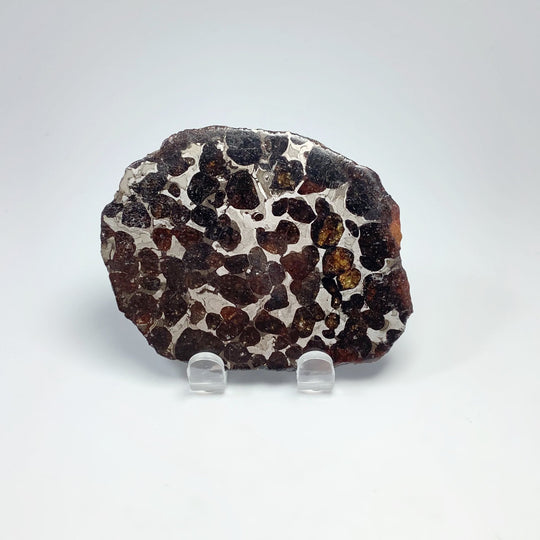 Sericho Meteorite Slice