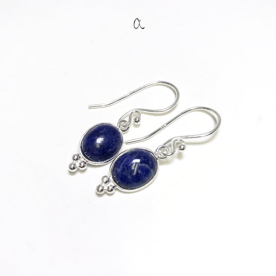 Sodalite Dangle Earrings