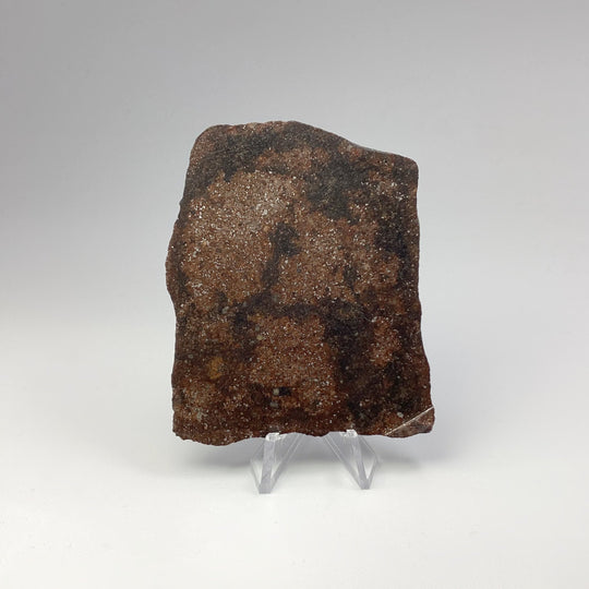 NWA Chondrite Meteorite Slab