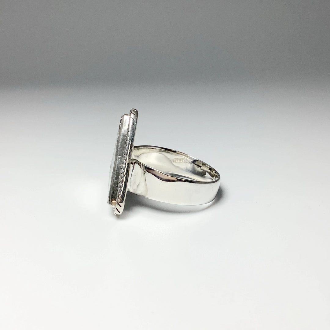 Muonionalusta Meteorite Triangle Setting Ring