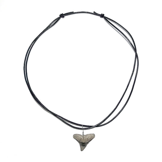 Shark Tooth Fossil Wire Wrapped Necklace