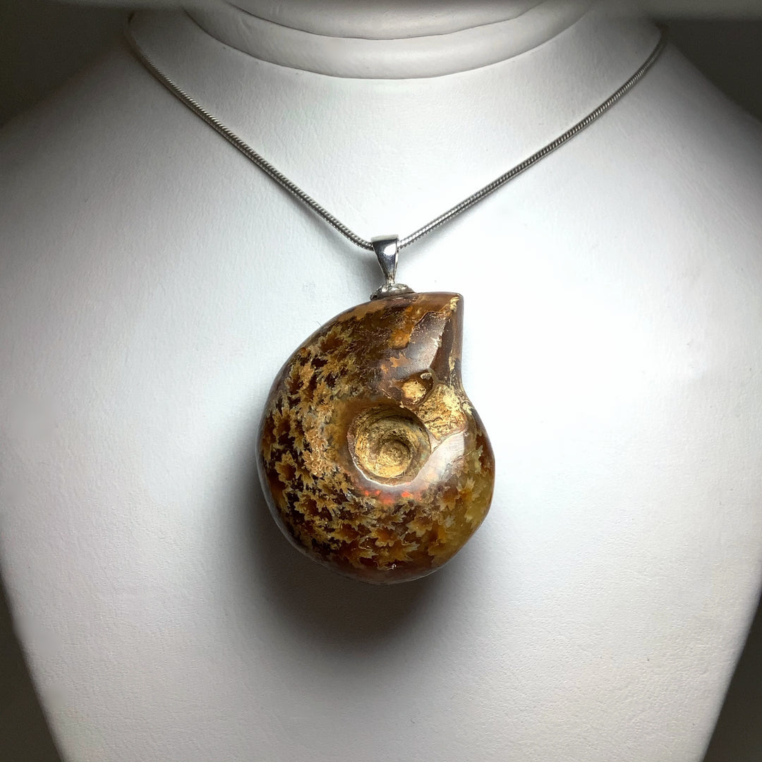 Colourful Ammonite Pendant